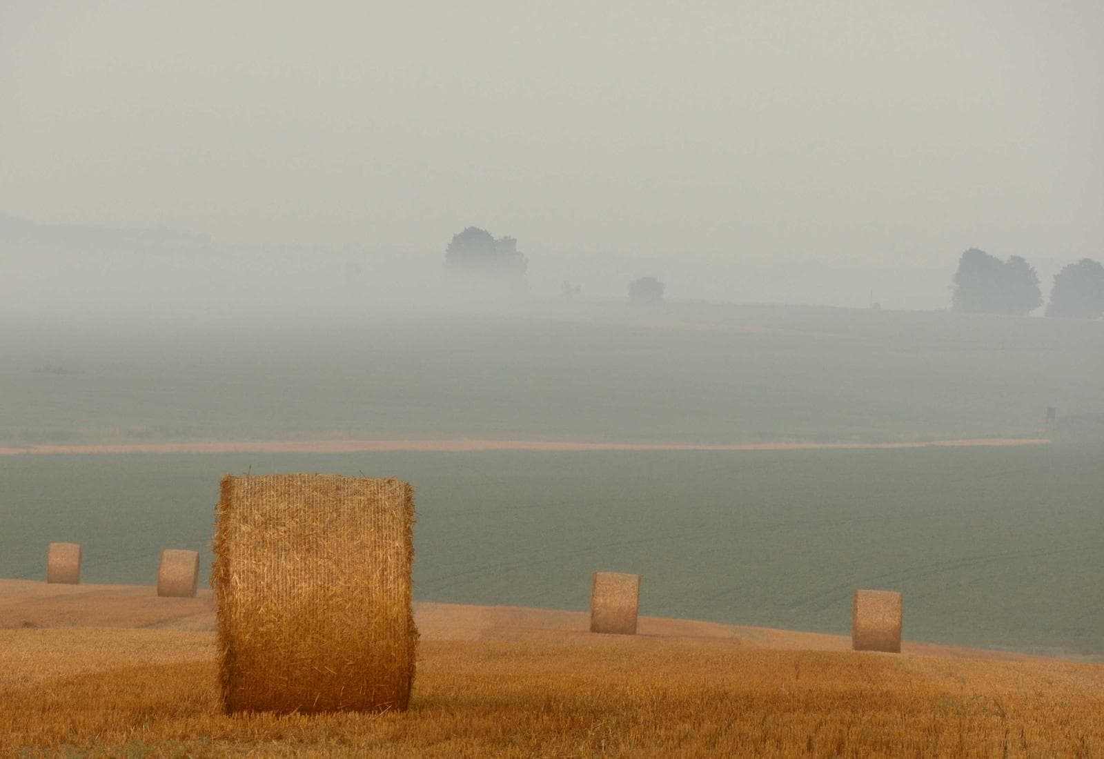 Gazebo + House + ATV Experience (3 Day) package visual